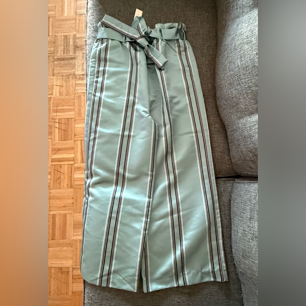 Anthropologie Women's Striped Pants in Mint Blue with stripes.